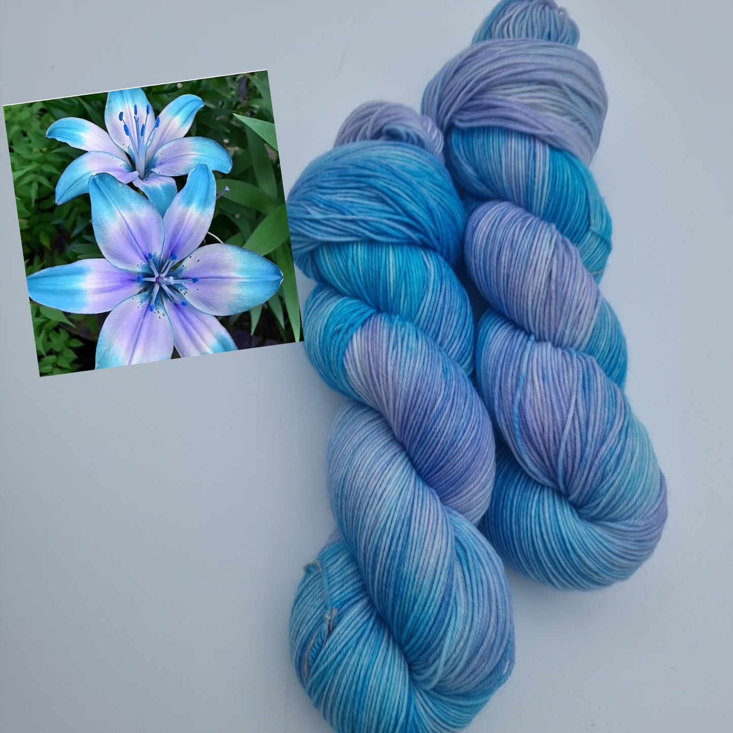 xxx Yarn Lily xxx