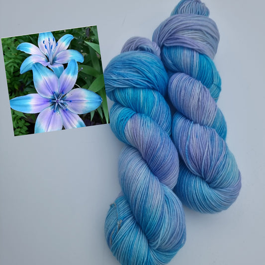 xxx Yarn Lily xxx